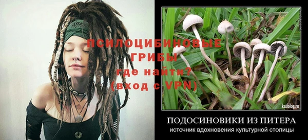 метадон Аркадак