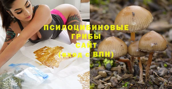 шишки Армянск