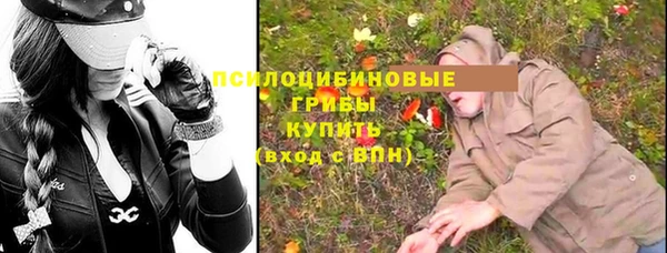 шишки Армянск
