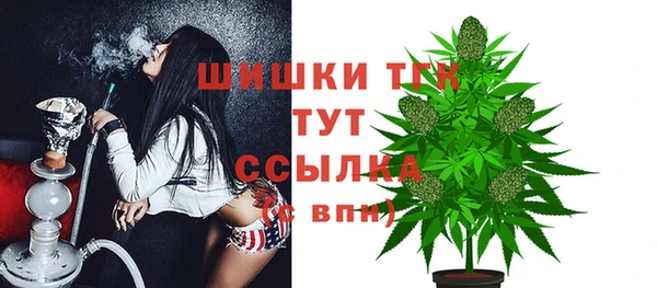 шишки Армянск