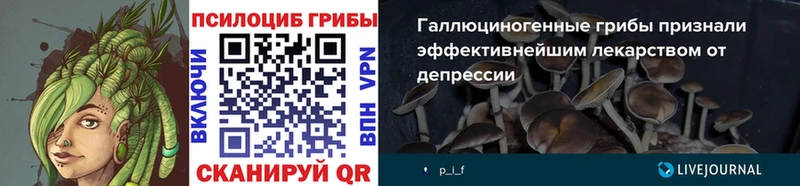 Псилоцибиновые грибы Cubensis  Ахтубинск 